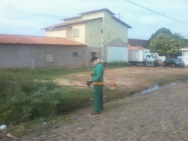 Ruas e avenidas de Luzilândia começam a receber capina - Imagem 2