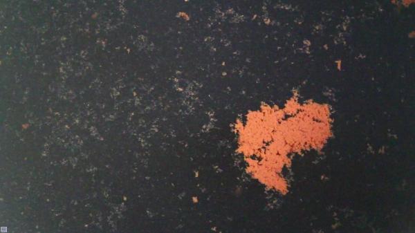 Altos índices de mortes por câncer em Anísio de Abreu leva moradores a desconfiarem de água que chega do encanamento local - Imagem 6