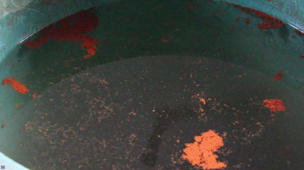 Altos índices de mortes por câncer em Anísio de Abreu leva moradores a desconfiarem de água que chega do encanamento local - Imagem 5