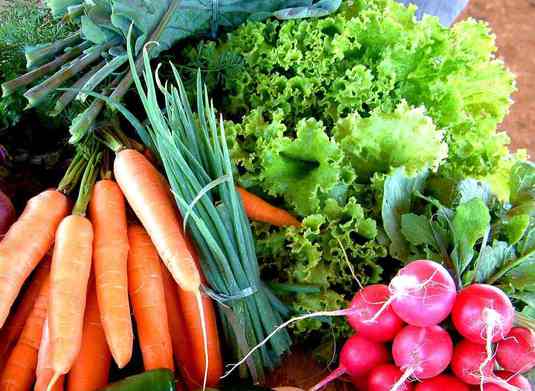 Prefeitura de União celebra parceria com Agricultura Familiar