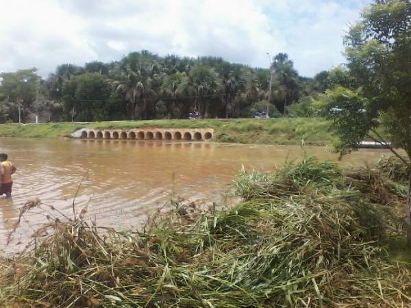 Pescadores da colônia e amigos em ação comunitária no açude laranjeiras.  - Imagem 4