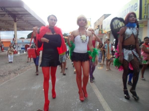 Carnaval 2014: Muita elegância no desfile de fantasia em Valença - Imagem 15
