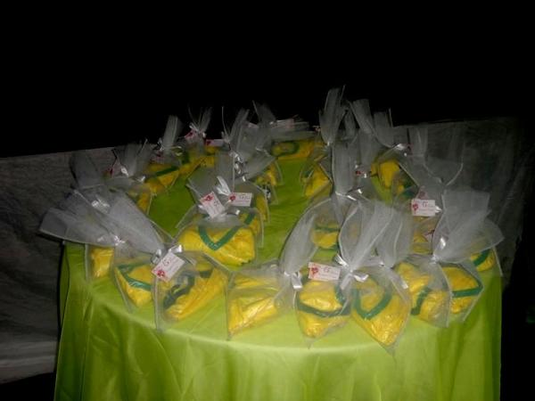 Os 15 anos de princesa Narginára Bruna - Imagem 19