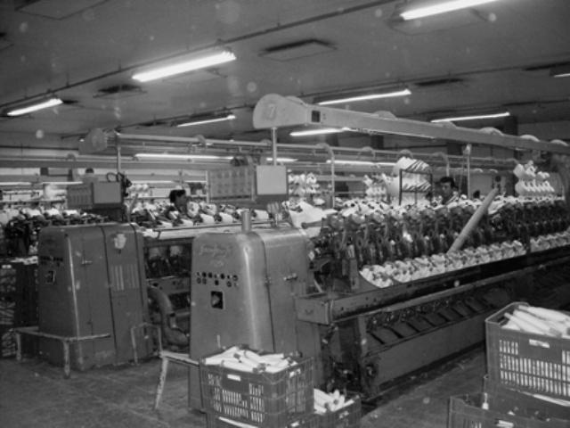 Justiça leiloará os imóveis das Indústrias Coelho