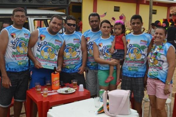 Confira as fotos do Corso do primeiro de Pimenteiras - Imagem 30