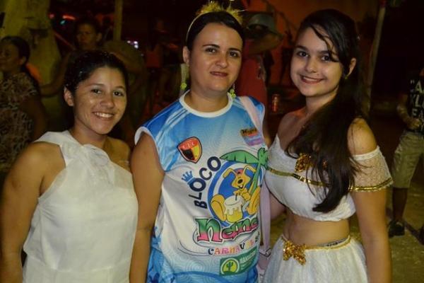 Confira as fotos do Corso do primeiro de Pimenteiras - Imagem 36