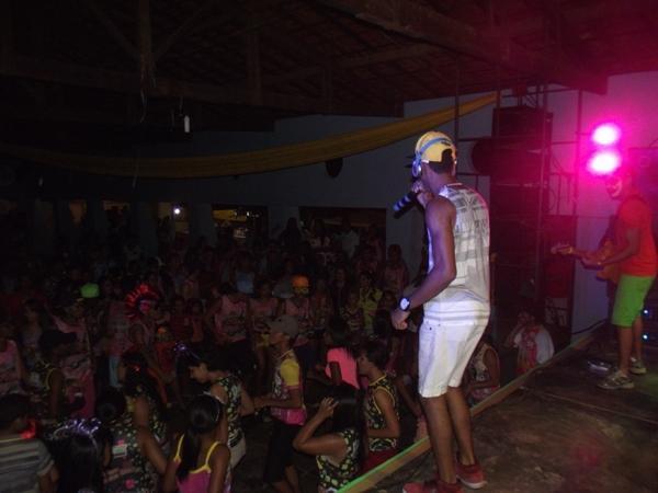 Confira as imagens do Carnaval 2014 de Santa Rosa do Piauí - Imagem 14