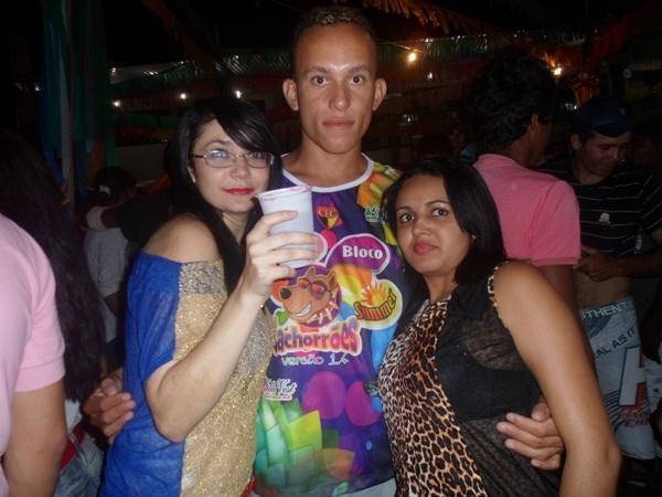 Carnaval 2014 de Valença encerra com saldo positivo e sucesso de público - Imagem 19