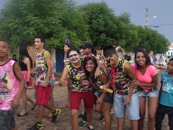 Confira as imagens do Carnaval 2014 de Santa Rosa do Piauí - Imagem 11