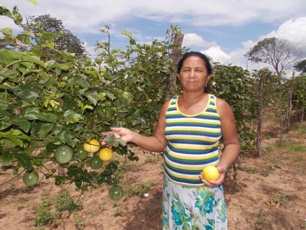Maracujá garante renda aos produtores do Assentamento Malhada Grande - Imagem 1