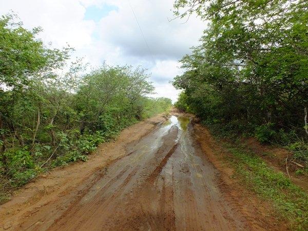 Prefeitura de Dom Expedito Lopes recupera 4 Km de estrada vicinal - Imagem 20