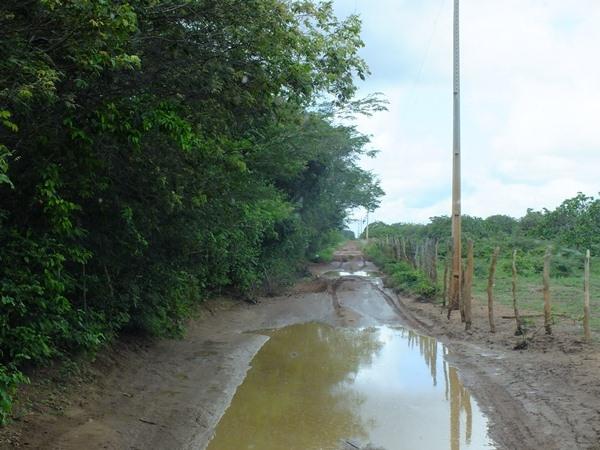 Prefeitura de Dom Expedito Lopes recupera 4 Km de estrada vicinal - Imagem 13