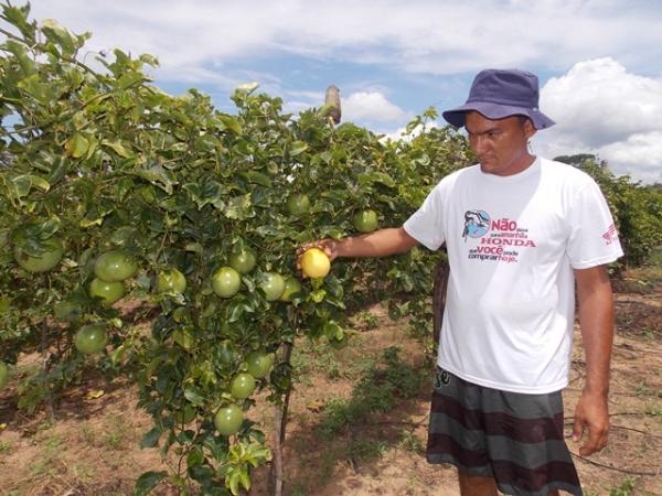 Maracujá garante renda aos produtores do Assentamento Malhada Grande - Imagem 2