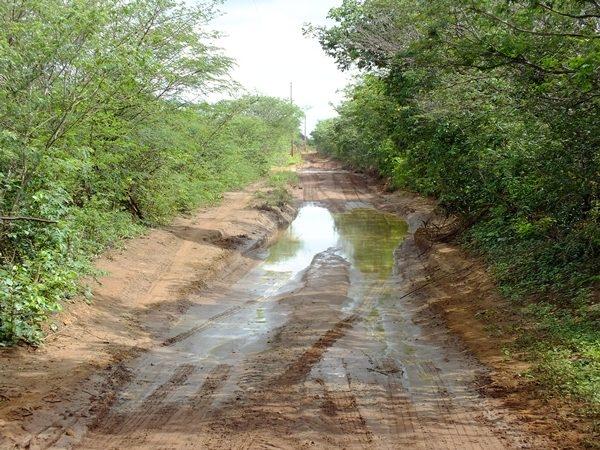 Prefeitura de Dom Expedito Lopes recupera 4 Km de estrada vicinal - Imagem 21