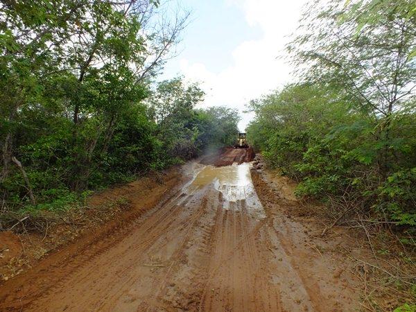 Prefeitura de Dom Expedito Lopes recupera 4 Km de estrada vicinal - Imagem 10