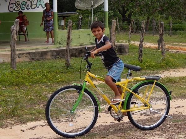 Criança de 10 anos morre após ingerir veneno pensando que era remédio - Imagem 1