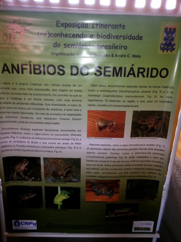 Seminário (re)conhecendo a biodiversidade do semiárido brasileiro  - Imagem 22