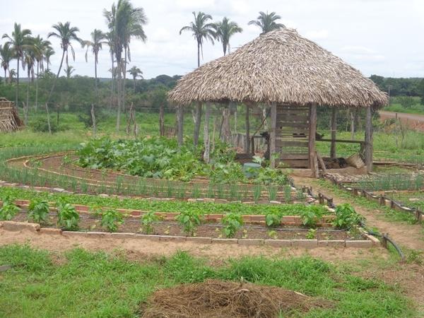 Dedé Marinho  apoia projeto de Produção Agroecológica Integrada e Sustentável  - Imagem 23