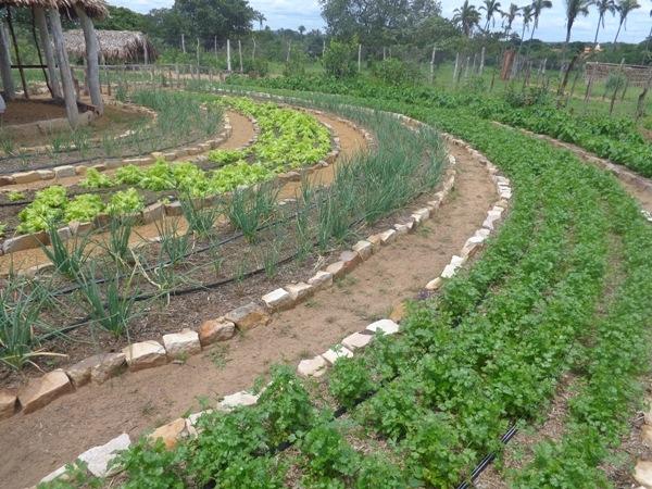 Dedé Marinho  apoia projeto de Produção Agroecológica Integrada e Sustentável  - Imagem 18