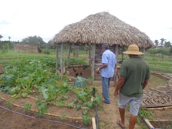 Dedé Marinho  apoia projeto de Produção Agroecológica Integrada e Sustentável  - Imagem 8