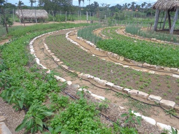 Dedé Marinho  apoia projeto de Produção Agroecológica Integrada e Sustentável  - Imagem 10