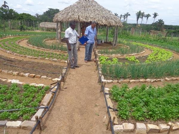 Dedé Marinho  apoia projeto de Produção Agroecológica Integrada e Sustentável  - Imagem 20