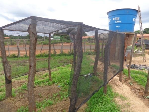 Dedé Marinho  apoia projeto de Produção Agroecológica Integrada e Sustentável  - Imagem 2