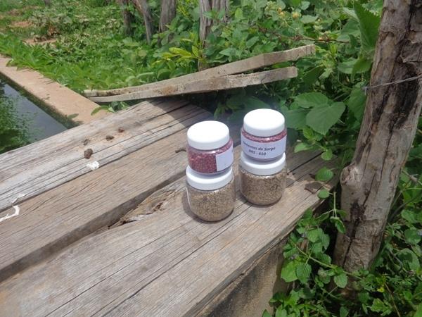 Dedé Marinho  apoia projeto de Produção Agroecológica Integrada e Sustentável  - Imagem 1