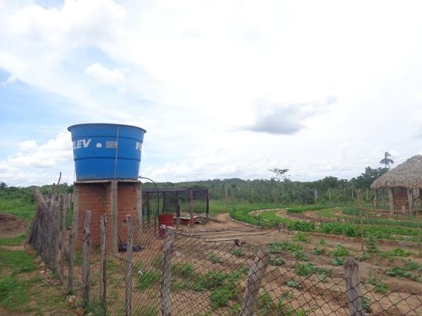Dedé Marinho  apoia projeto de Produção Agroecológica Integrada e Sustentável  - Imagem 9