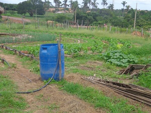 Dedé Marinho  apoia projeto de Produção Agroecológica Integrada e Sustentável  - Imagem 22