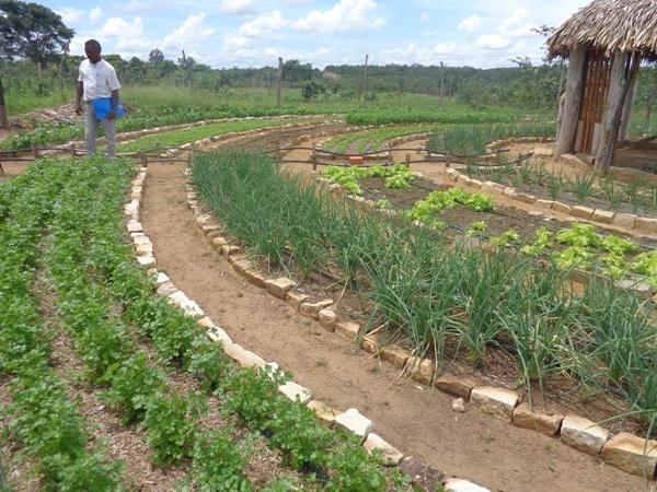 Dedé Marinho  apoia projeto de Produção Agroecológica Integrada e Sustentável  - Imagem 17