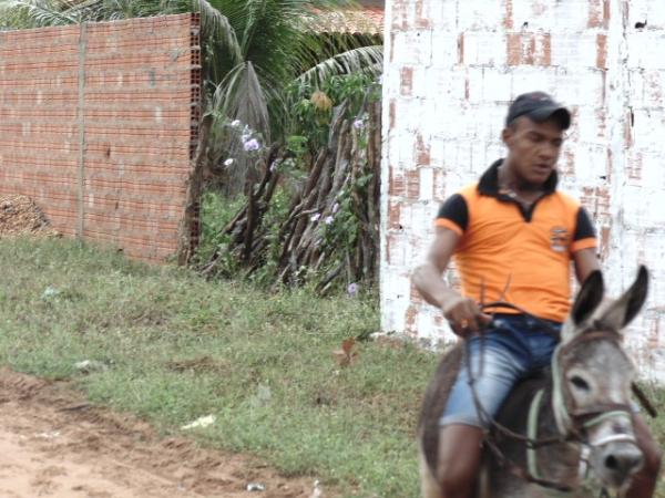 Competições e show gospel marcou o 2º dia de comemorações pelo 50 anos de emancipação política de Santo Inácio - Imagem 6