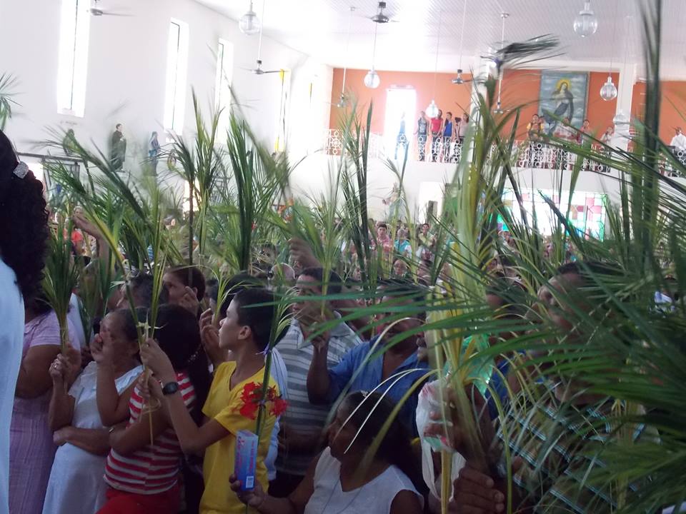 Procissão e Missa de Ramos marcam abertura da Semana Santa