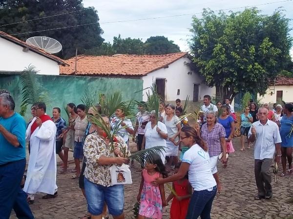 Confira como foi a procissão de ramos em Agricolândia - Imagem 13