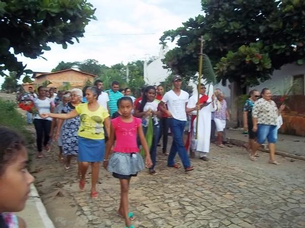 Confira como foi a procissão de ramos em Agricolândia - Imagem 20