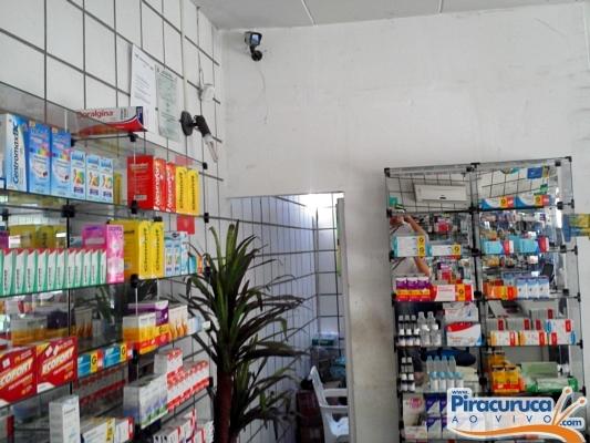 Ladrão entra pelo forro de farmácia para praticar roubo em Piracuruca - Imagem 2