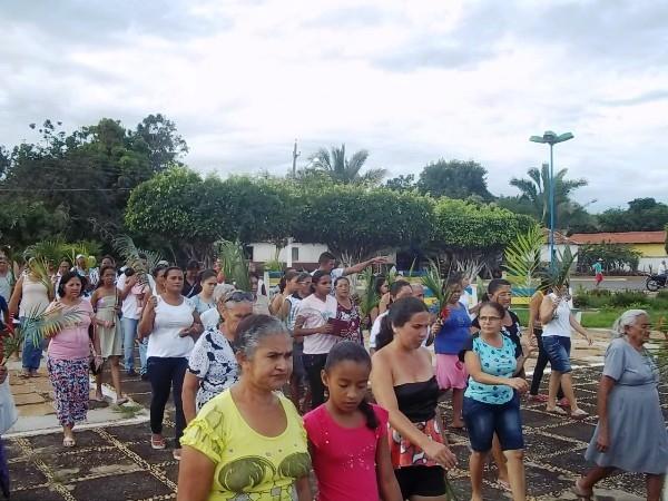 Confira como foi a procissão de ramos em Agricolândia - Imagem 3