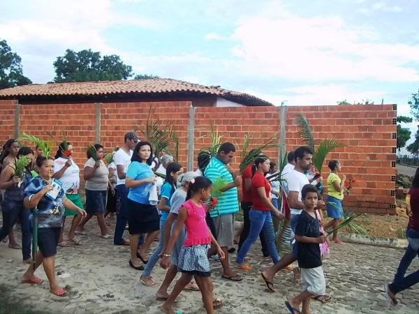 Confira como foi a procissão de ramos em Agricolândia - Imagem 25