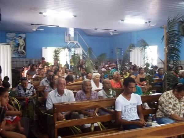 Confira como foi a procissão de ramos em Agricolândia - Imagem 1