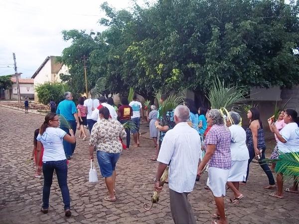 Confira como foi a procissão de ramos em Agricolândia - Imagem 11