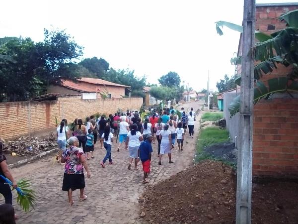 Confira como foi a procissão de ramos em Agricolândia - Imagem 29