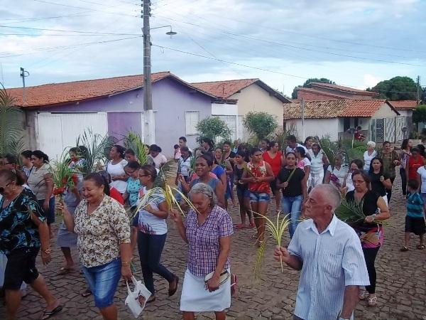 Confira como foi a procissão de ramos em Agricolândia - Imagem 8