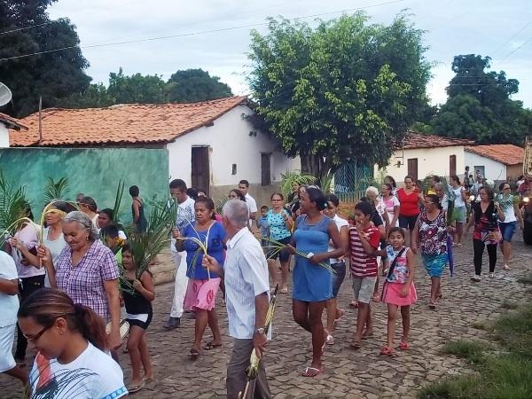 Confira como foi a procissão de ramos em Agricolândia - Imagem 12