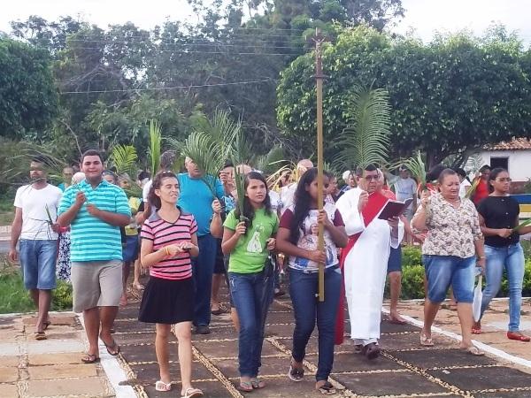 Confira como foi a procissão de ramos em Agricolândia - Imagem 5