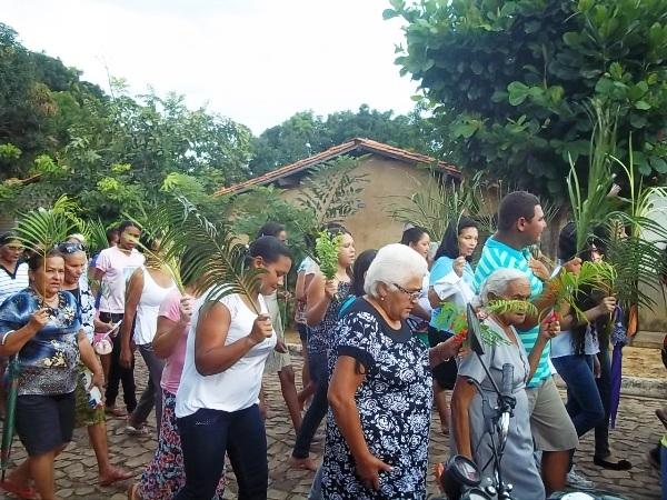 Confira como foi a procissão de ramos em Agricolândia - Imagem 16