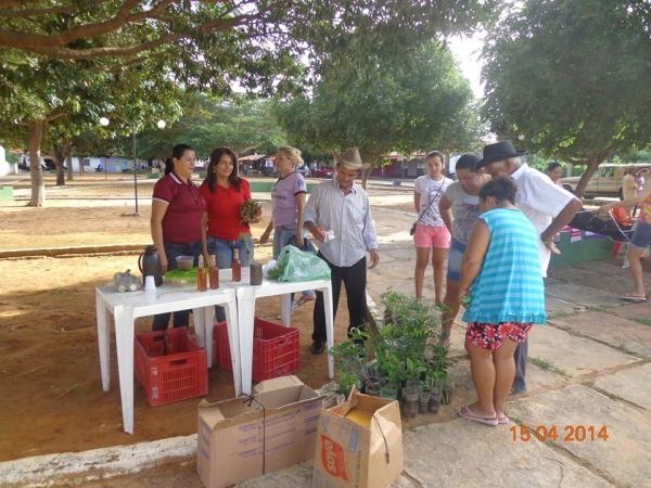 I Feira de Agricultura Familiar - Imagem 3