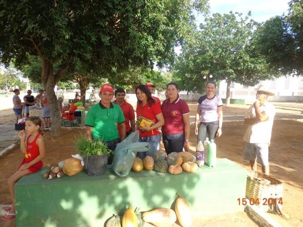 I Feira de Agricultura Familiar - Imagem 1
