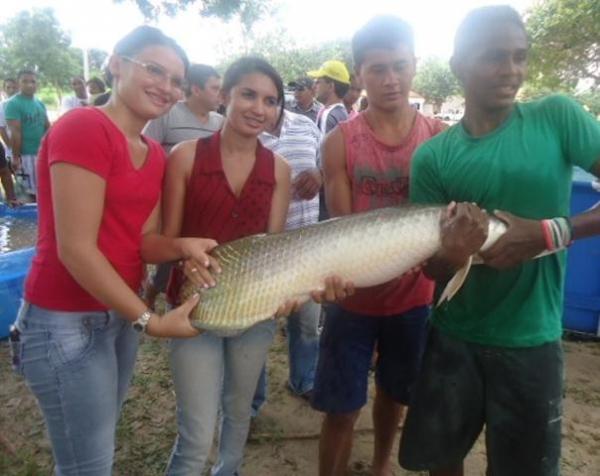 Bons negócios no I festival do Peixe na cidade de Batalha - Imagem 21