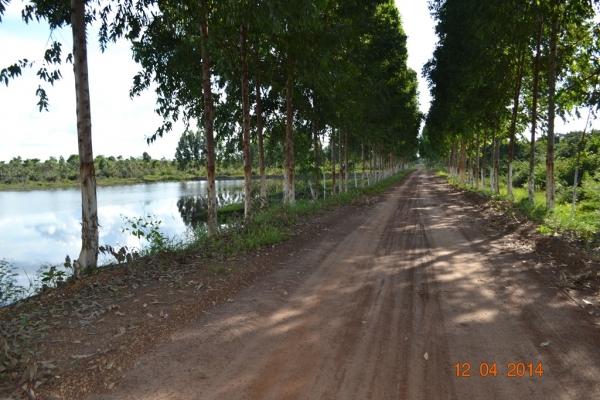 Boa Hora se torna um dos grandes produtores de soja do Piauí - Imagem 8