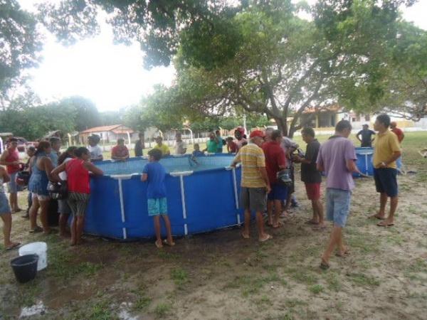 Bons negócios no I festival do Peixe na cidade de Batalha - Imagem 23